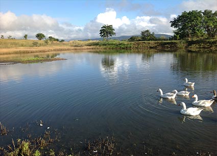 Tzaneen Accommodation Image